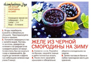 14 июля - День смородины 14 июля - День смородины.